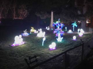 China Lights im K&ouml;lner Zoo