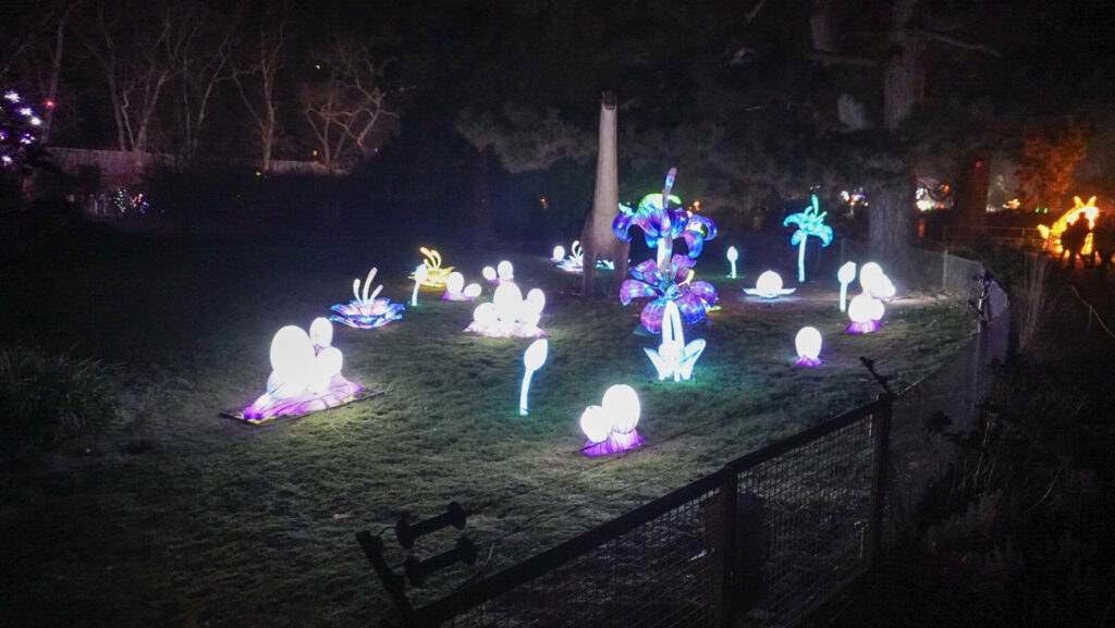 China Lights im K&ouml;lner Zoo