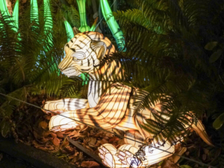 China Lights im K&ouml;lner Zoo