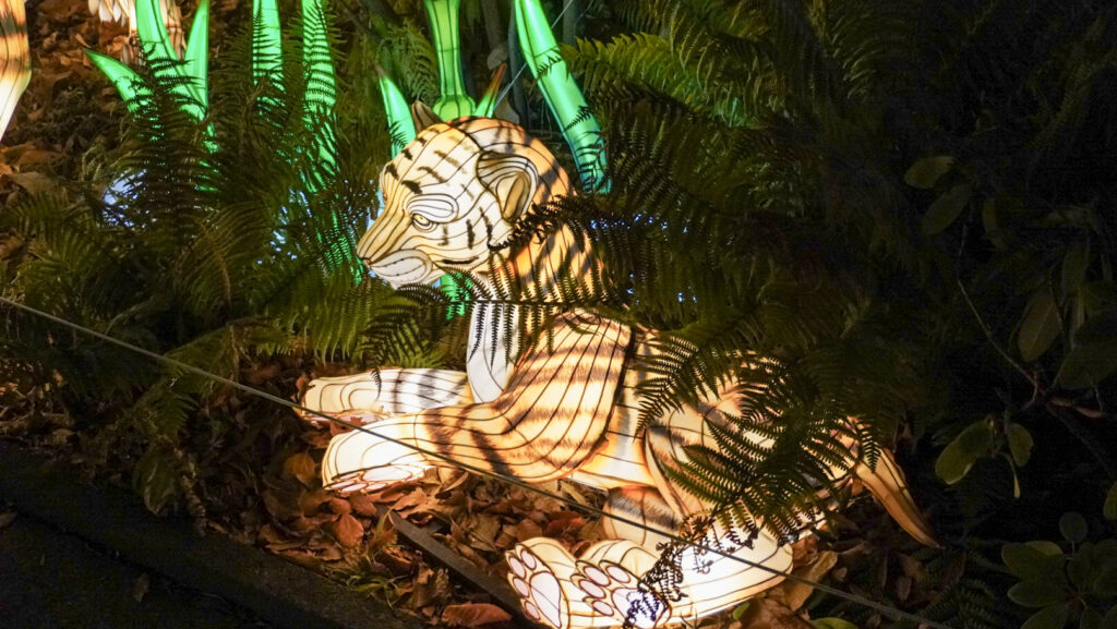 China Lights im K&ouml;lner Zoo