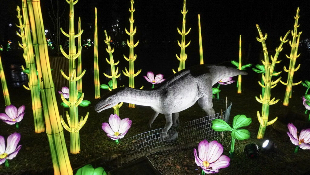 China Lights im K&ouml;lner Zoo