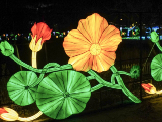China Lights im K&ouml;lner Zoo