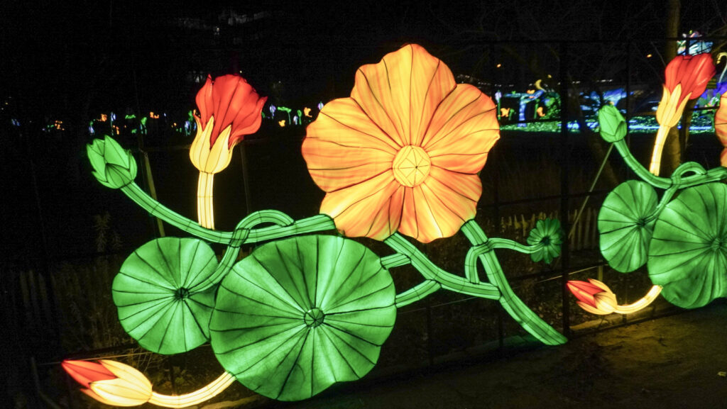 China Lights im K&ouml;lner Zoo