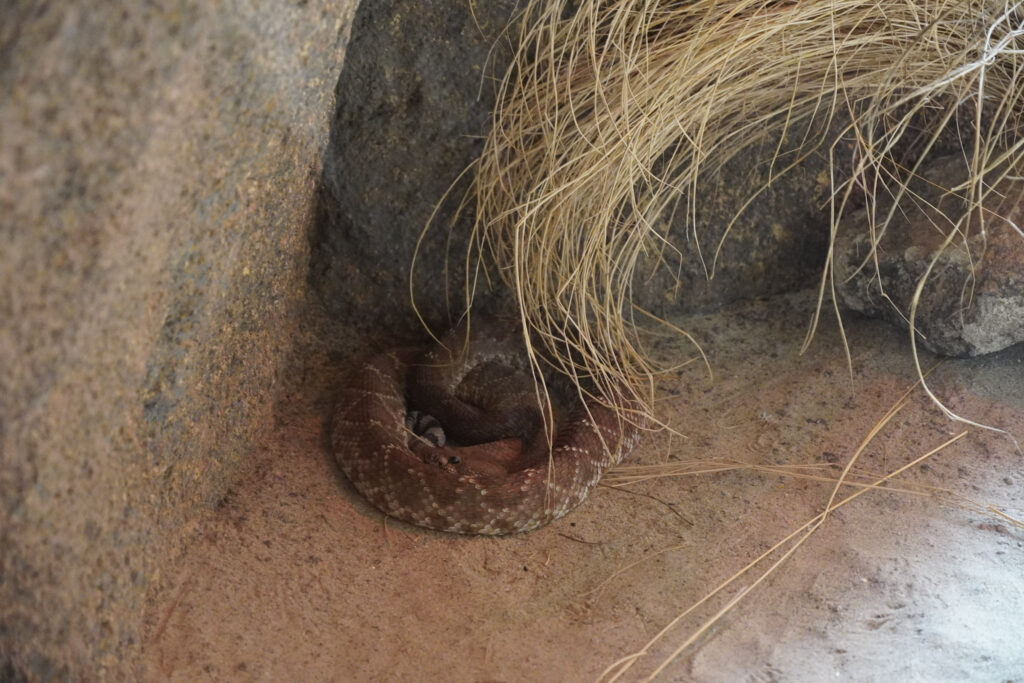 Burgers' Zoo Burgers' Zoo