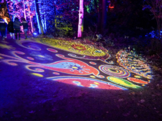 Herbstlichter Brückenkopfpark Jülich Herbstlichter Brückenkopfpark Jülich