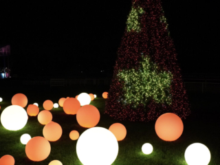 Garden of Lights Garden of Lights