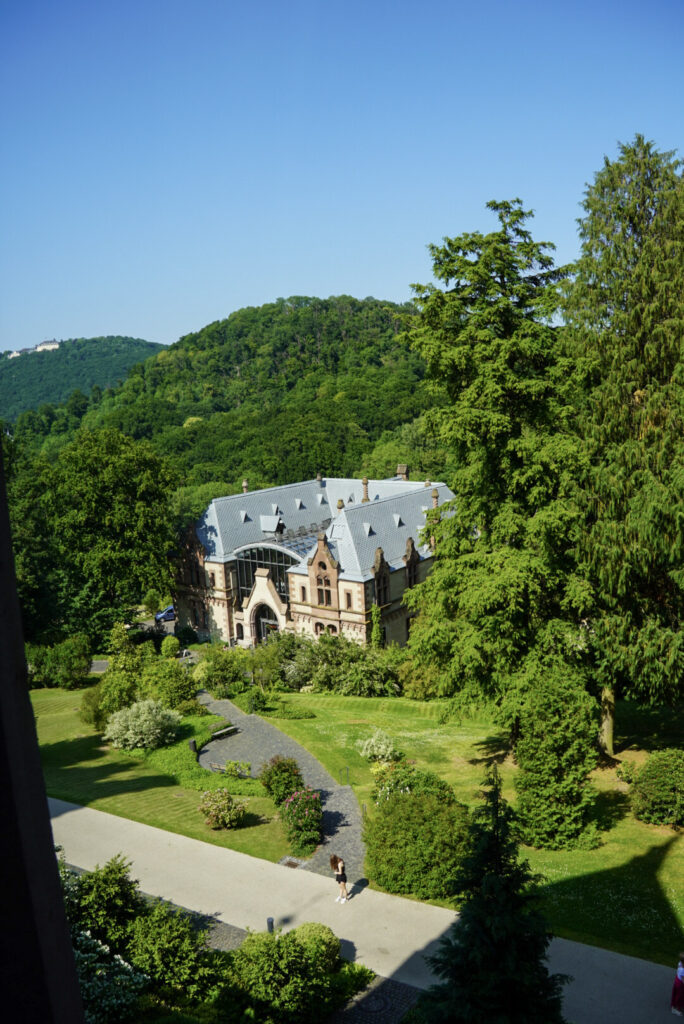 Bootsfahrt und Besuch des Drachenfelsens