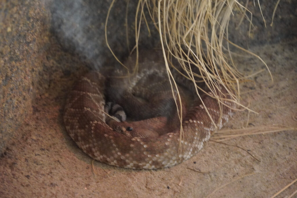 Burgers' Zoo Burgers' Zoo