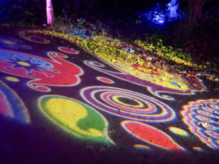 Herbstlichter Brückenkopfpark Jülich Herbstlichter Brückenkopfpark Jülich
