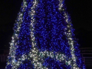 Garden of Lights Garden of Lights