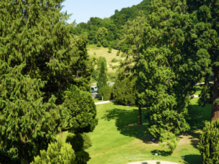 Bootsfahrt und Besuch des Drachenfelsens