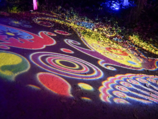 Herbstlichter Brückenkopfpark Jülich Herbstlichter Brückenkopfpark Jülich
