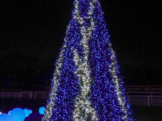 Garden of Lights Garden of Lights