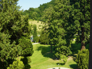 Bootsfahrt und Besuch des Drachenfelsens
