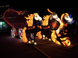 Garden of Lights Garden of Lights