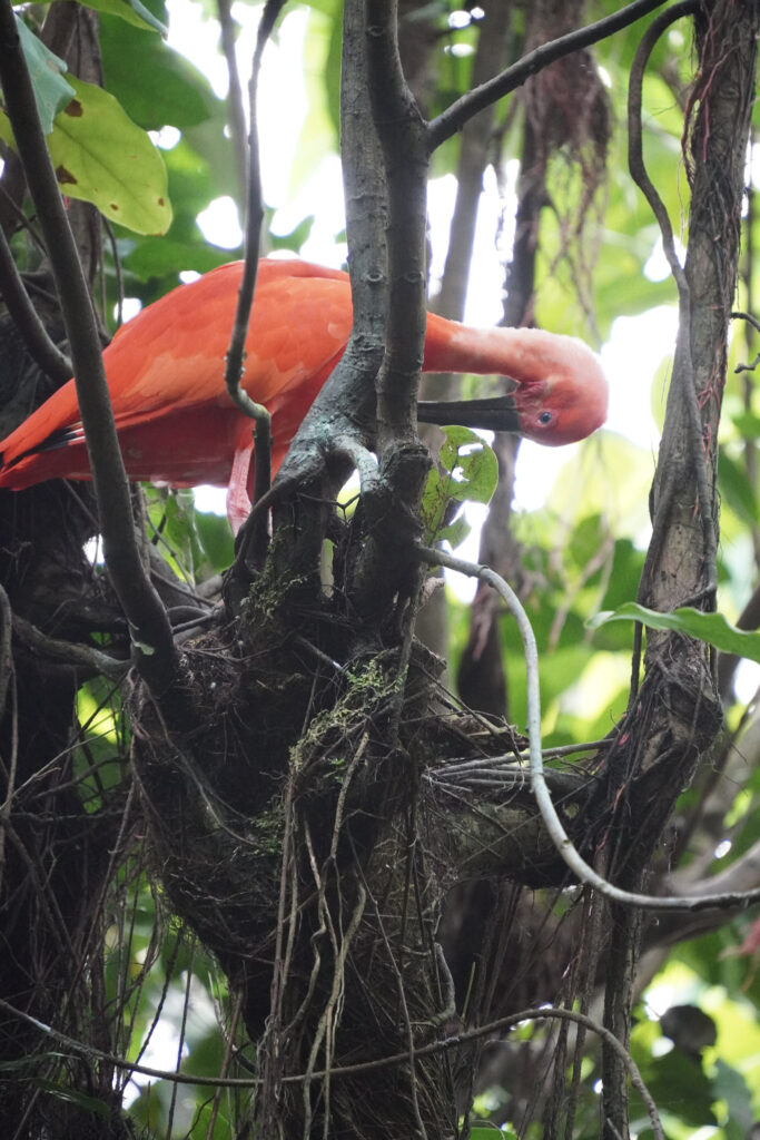 Burgers' Zoo Burgers' Zoo