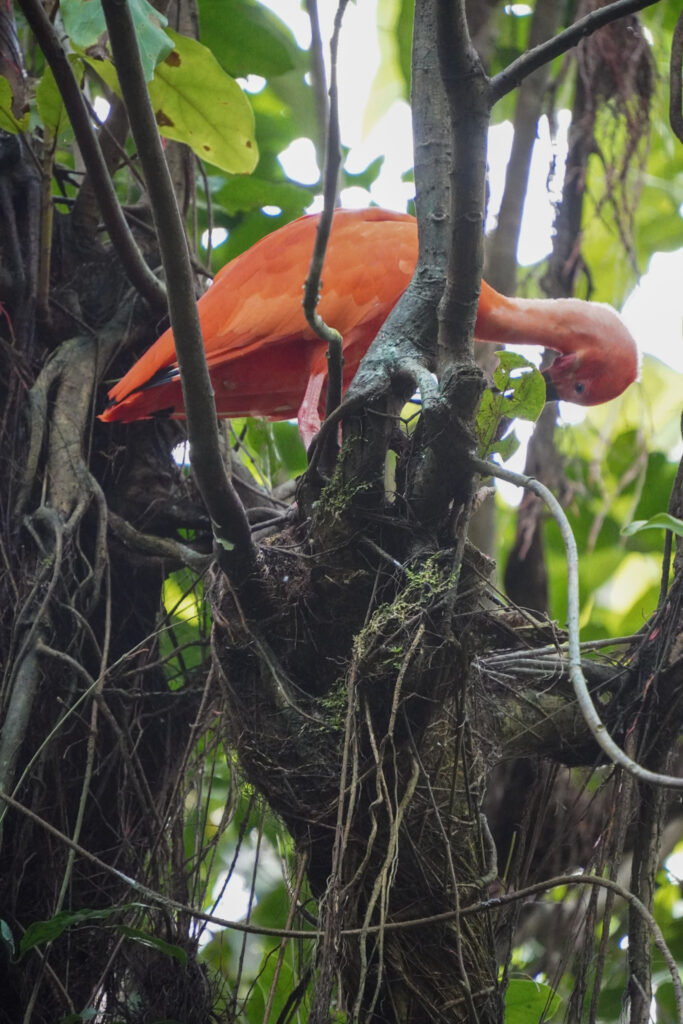 Burgers' Zoo Burgers' Zoo