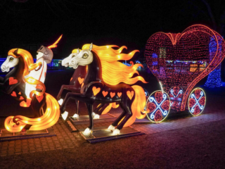 Garden of Lights Garden of Lights