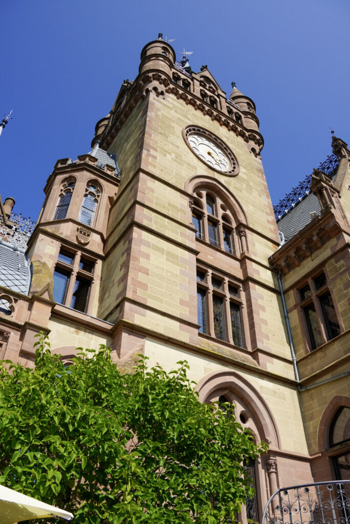 Bootsfahrt und Besuch des Drachenfelsens