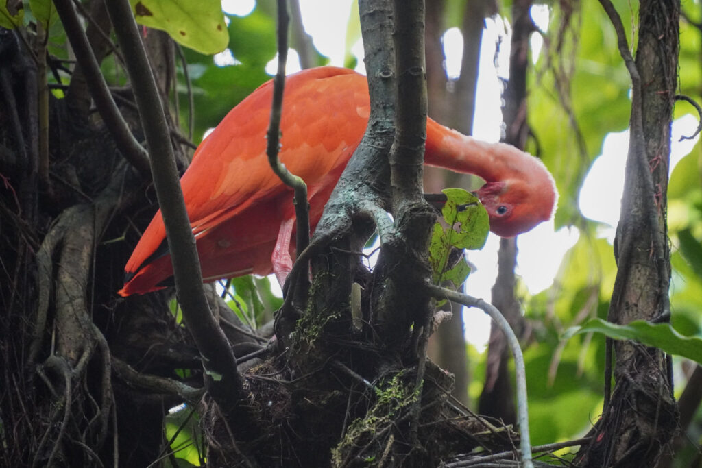 Burgers' Zoo Burgers' Zoo