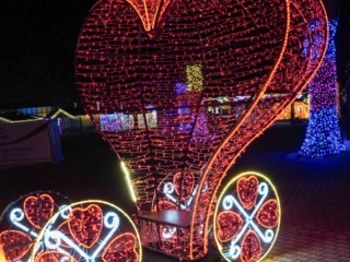 Garden of Lights Garden of Lights