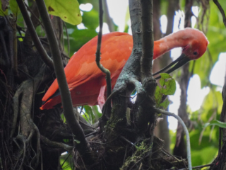 Burgers' Zoo