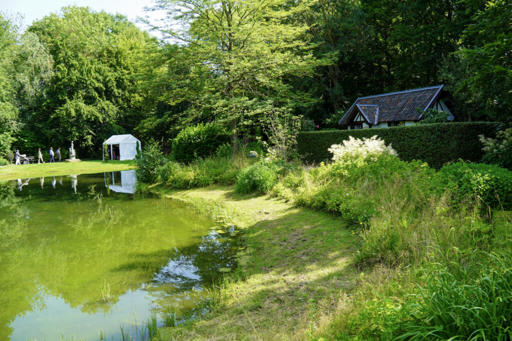 El Mundo Fantasia - Mondo Verde