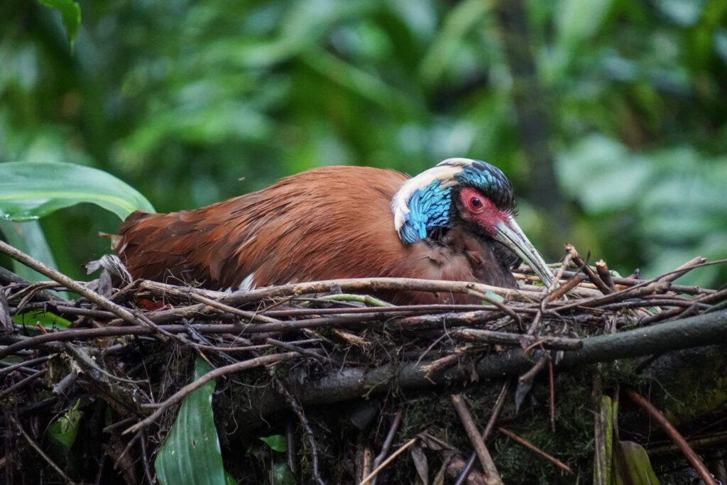 Burgers' Zoo Burgers' Zoo