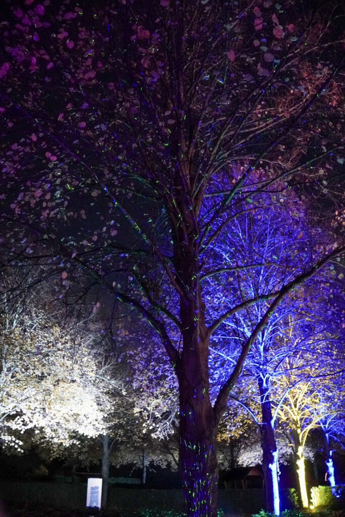 Herbstlichter Br&uuml;ckenkopfpark J&uuml;lich