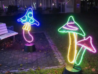 Garden of Lights Garden of Lights