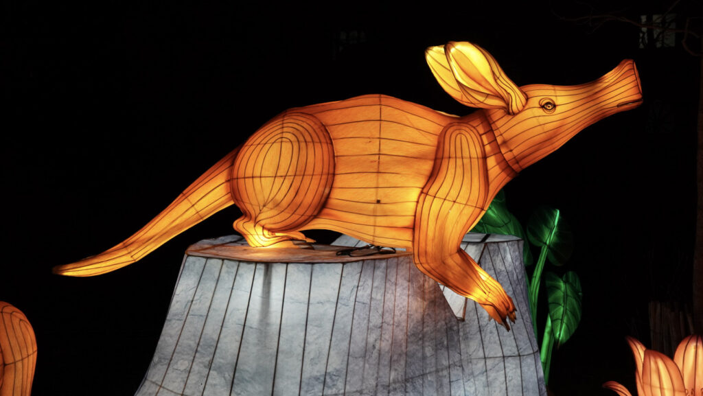 China Lights im K&ouml;lner Zoo