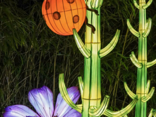 China Lights im K&ouml;lner Zoo