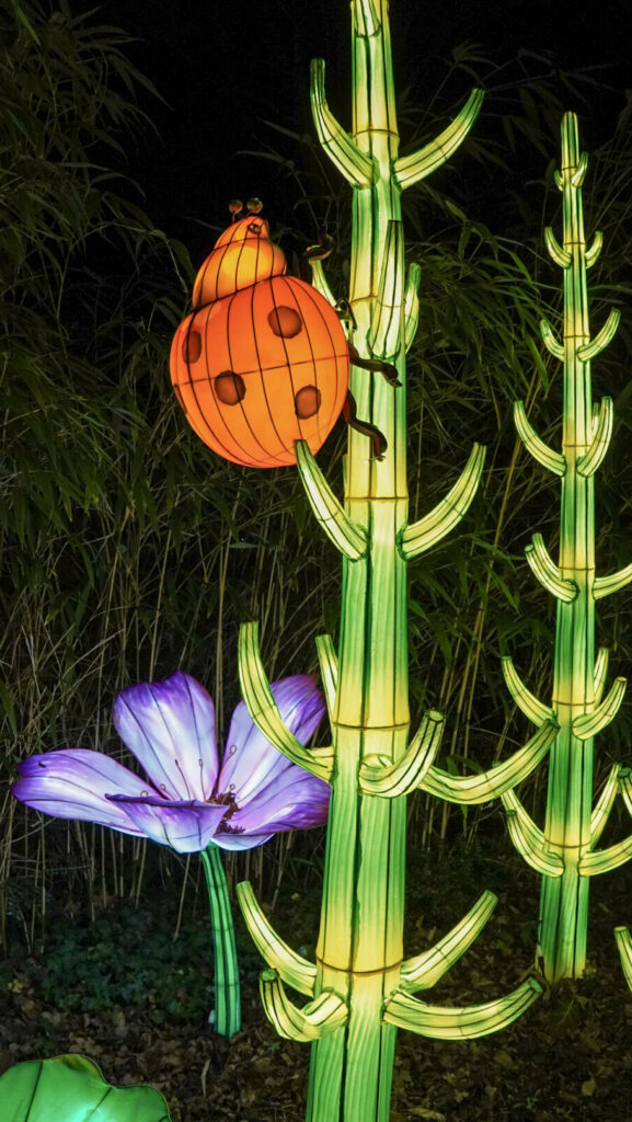 China Lights im K&ouml;lner Zoo