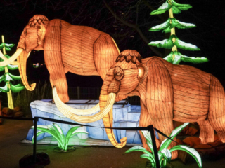 China Lights im K&ouml;lner Zoo