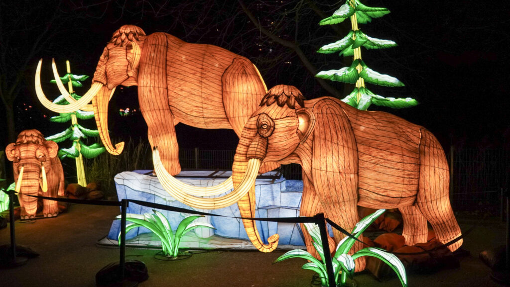 China Lights im K&ouml;lner Zoo