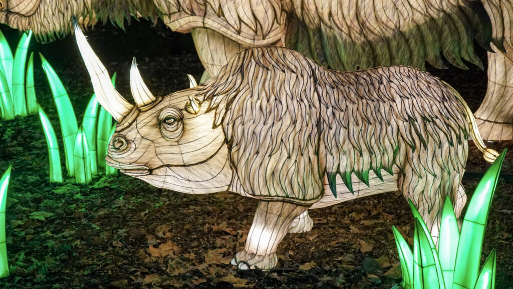 China Lights im K&ouml;lner Zoo