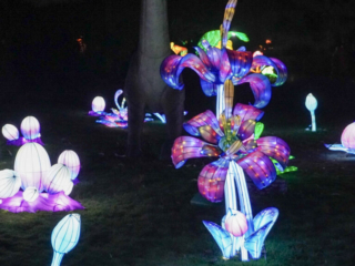 China Lights im K&ouml;lner Zoo