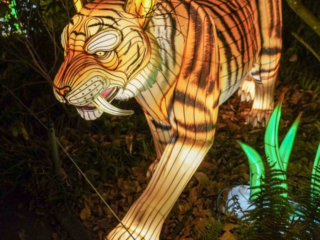 China Lights im K&ouml;lner Zoo