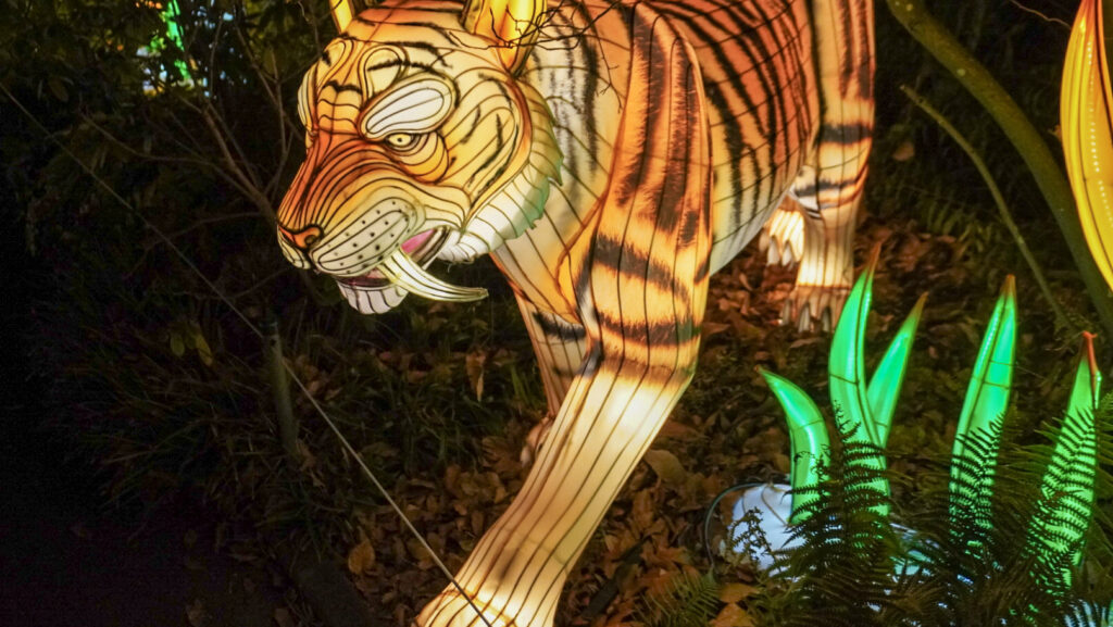 China Lights im K&ouml;lner Zoo