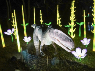 China Lights im K&ouml;lner Zoo