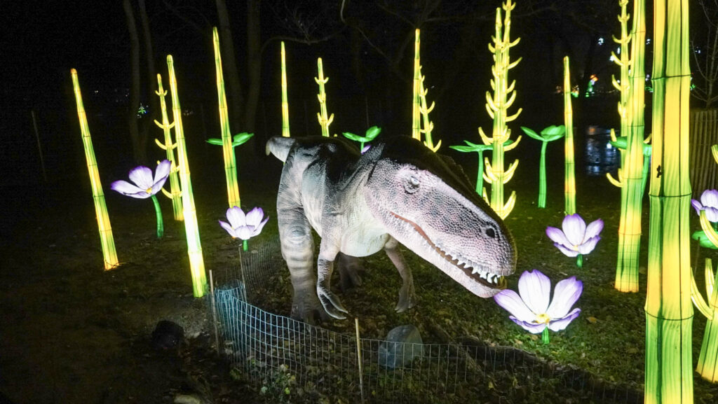 China Lights im K&ouml;lner Zoo