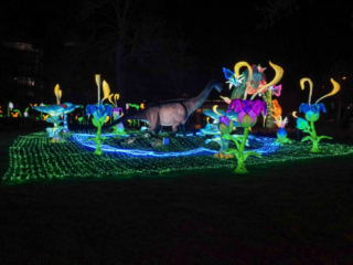 China Lights im K&ouml;lner Zoo
