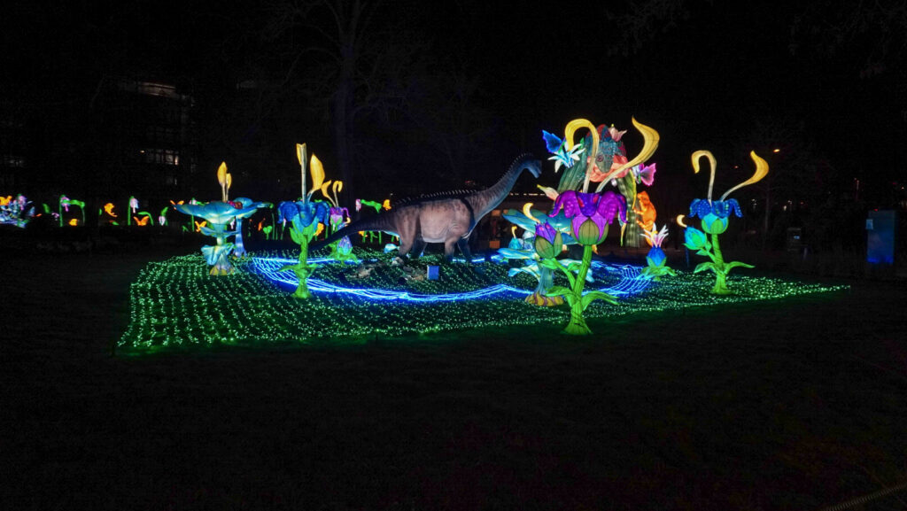 China Lights im K&ouml;lner Zoo