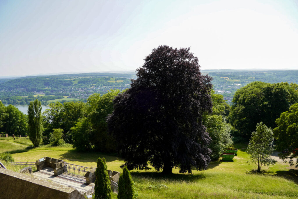Bootsfahrt und Besuch des Drachenfelsens