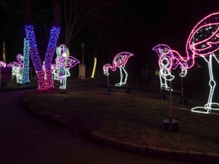 Garden of Lights Garden of Lights