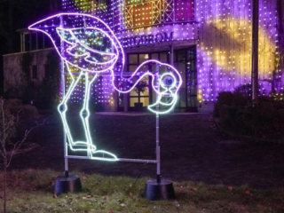 Garden of Lights Garden of Lights