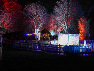 Herbstlichter Brückenkopfpark Jülich Herbstlichter Brückenkopfpark Jülich