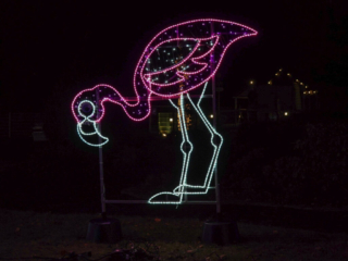 Garden of Lights Garden of Lights