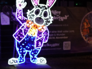 Garden of Lights Garden of Lights