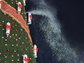 Cranger Weihnachtszauber
